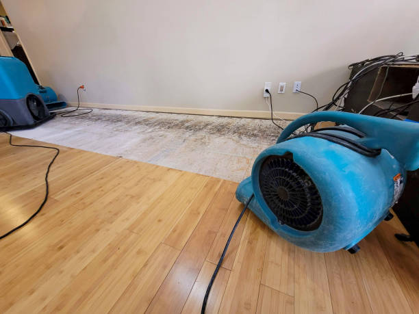 Professional Water Extraction technician working in East Dennis, MA